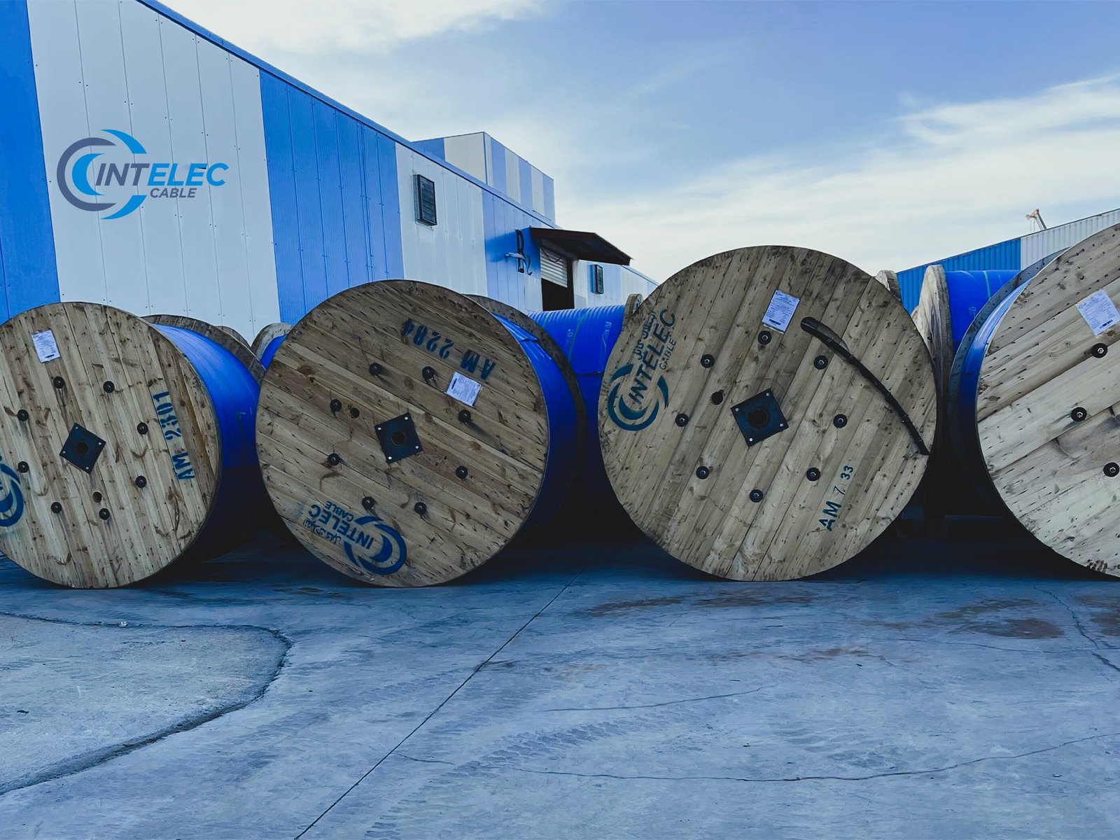 A professional team photo of the Intelec cable staff in a meeting